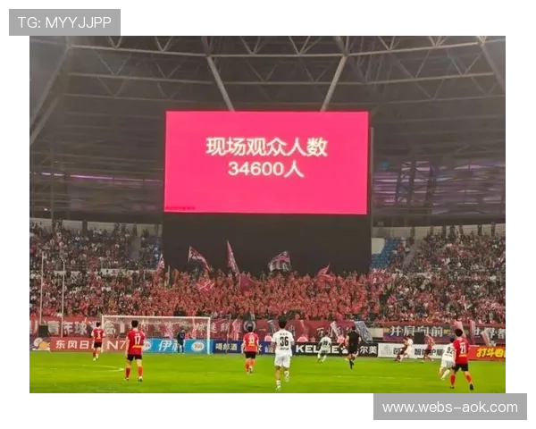 意甲保级战球迷助威文化：比萨主场横幅呼吁团结